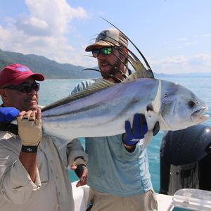 Meet your Posher, Eric